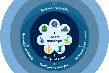 Nature-based Solutions Training: Using The Global Standard To Achieve ...