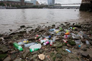 Shoreline of the River Thames (c) Clearwater photography